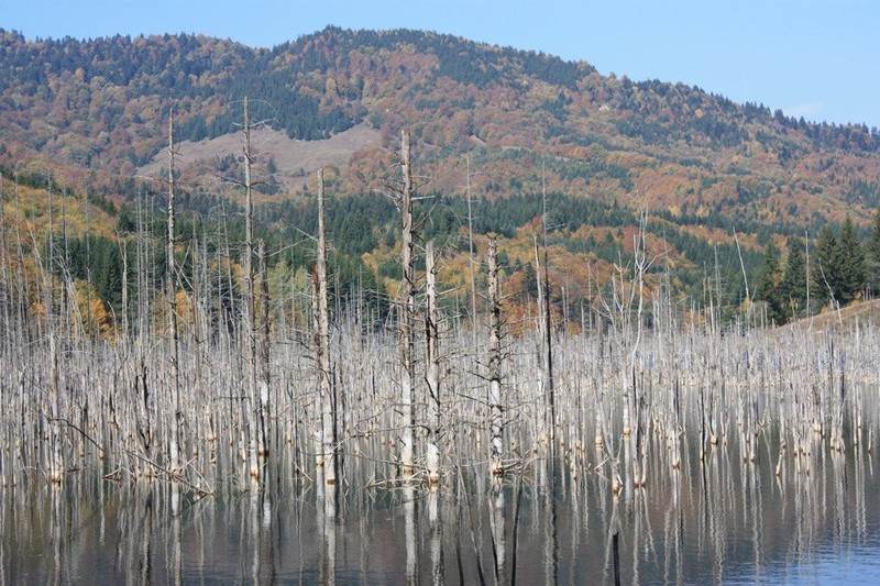 Lacul Cuejdel