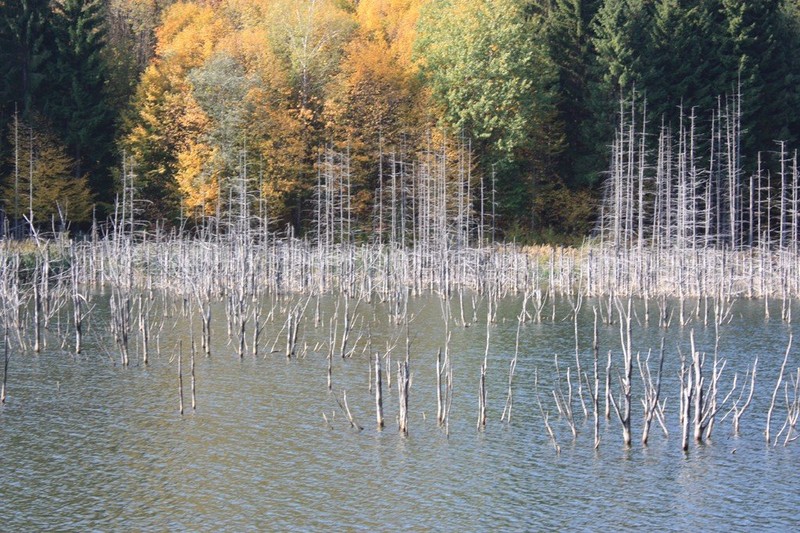 Lacul Cuejdel