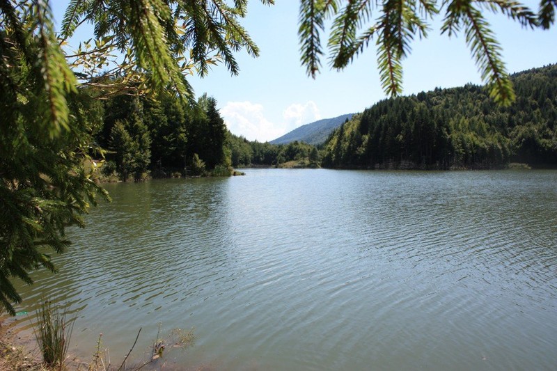 Lacul Cuejdel