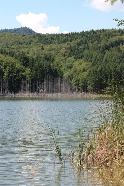 Lacul Cuejdel