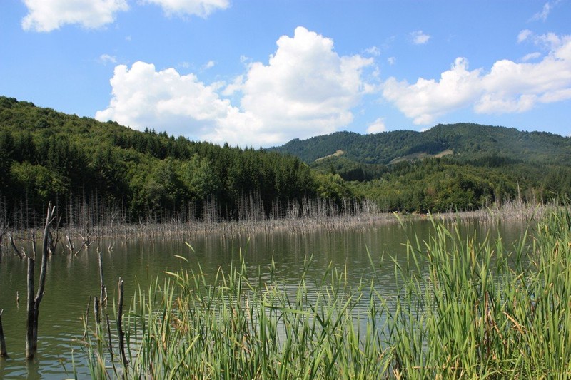 Lacul Cuejdel