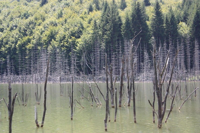 Lacul Cuejdel