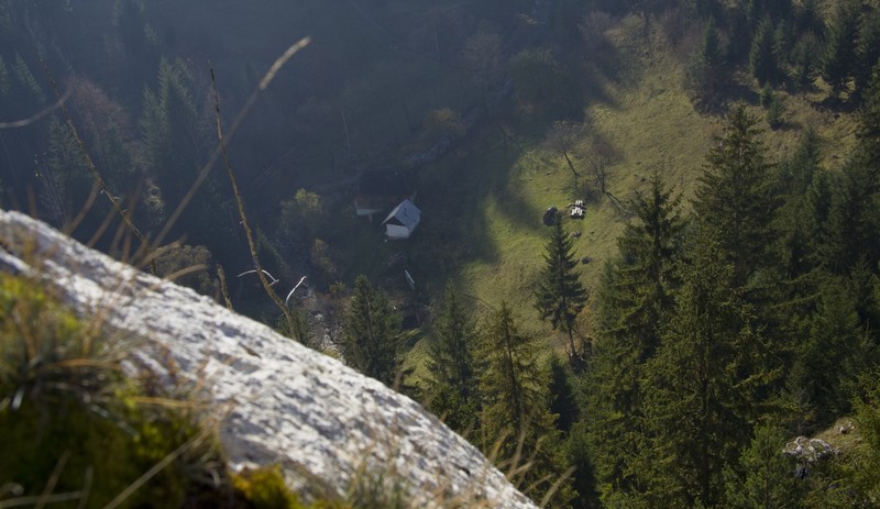 Cheile Sugaului