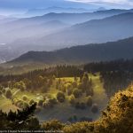 Photographic Collection of Neamț County – photo 29