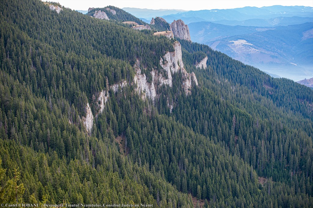 Photographic Collection of Neamț County – photo 24