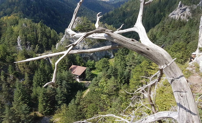 The longest and most modern adventure route in the country is waiting for you in Neamț County! – photo 5