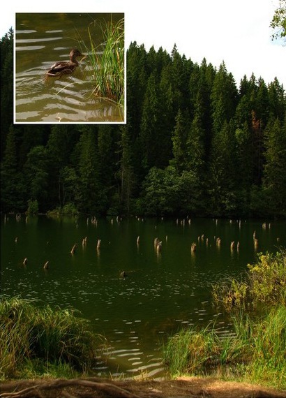 Romanian Tourism - Cheile Bicazului - Neamt County