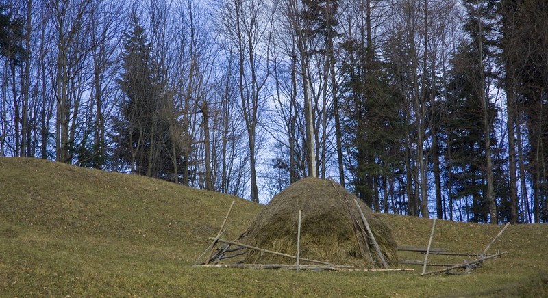 Manastiri din Neamt