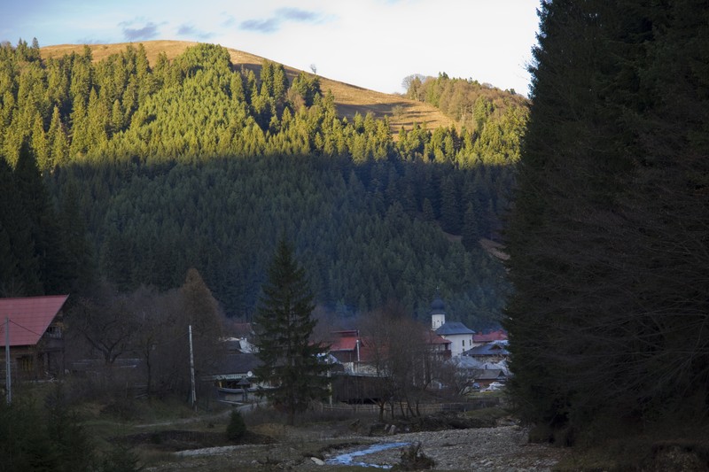 Manastiri din Neamt