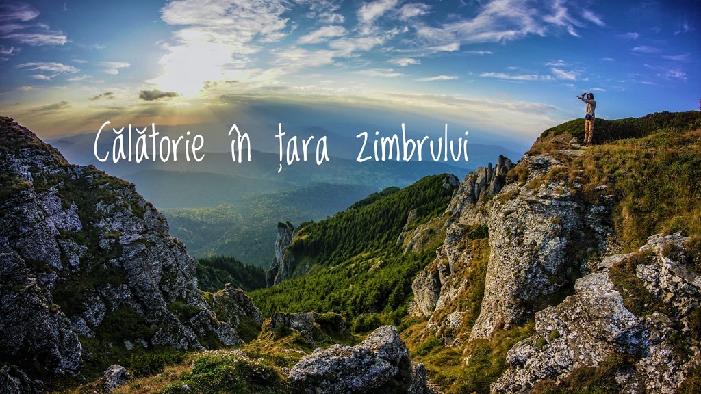 Călătorie în Țara Zimbrului