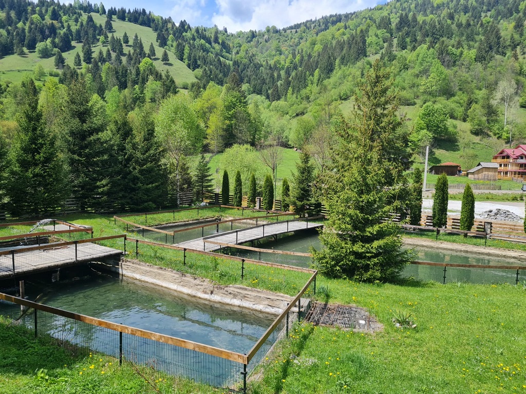 Borca, un mic paradis montan din Neamț – fotografia 18