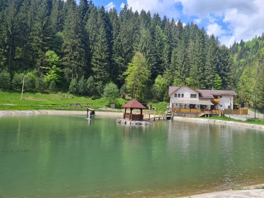 Borca, un mic paradis montan din Neamț – fotografia 10