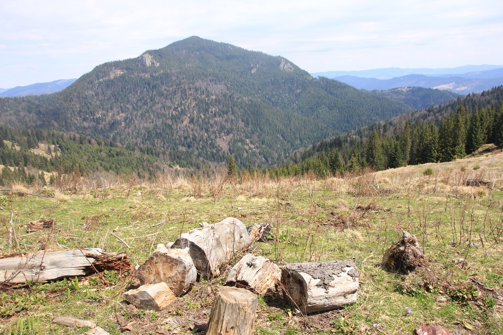 La Pietrele Roșii