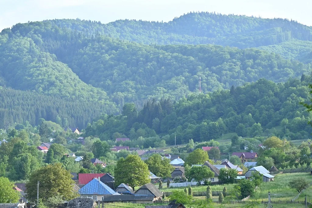 CLASIC FEST în Ținutul Zimbrului – photo 3