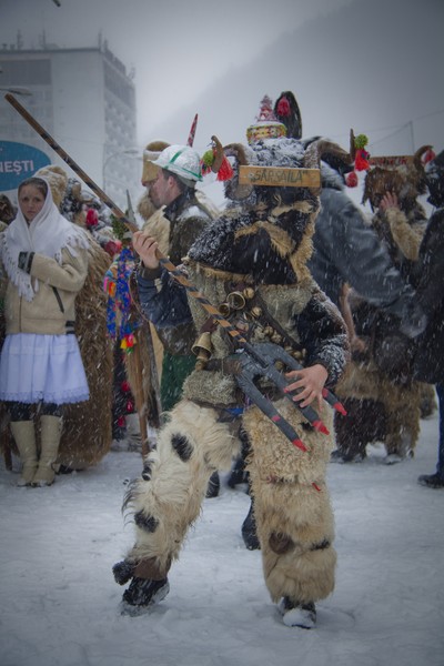 Festivalul Steaua sus Rasare 2010