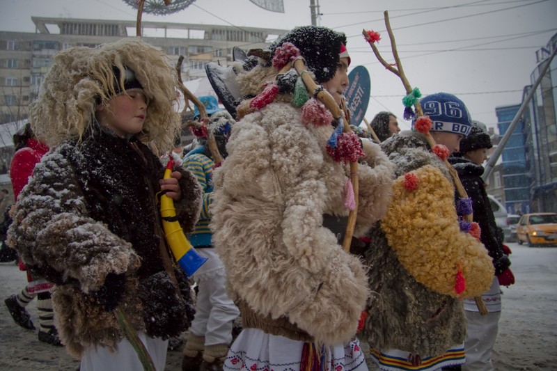 Festivalul Steaua sus Rasare 2010