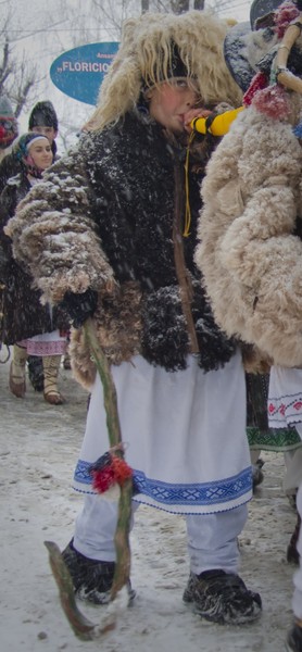 Festivalul Steaua sus Rasare 2010
