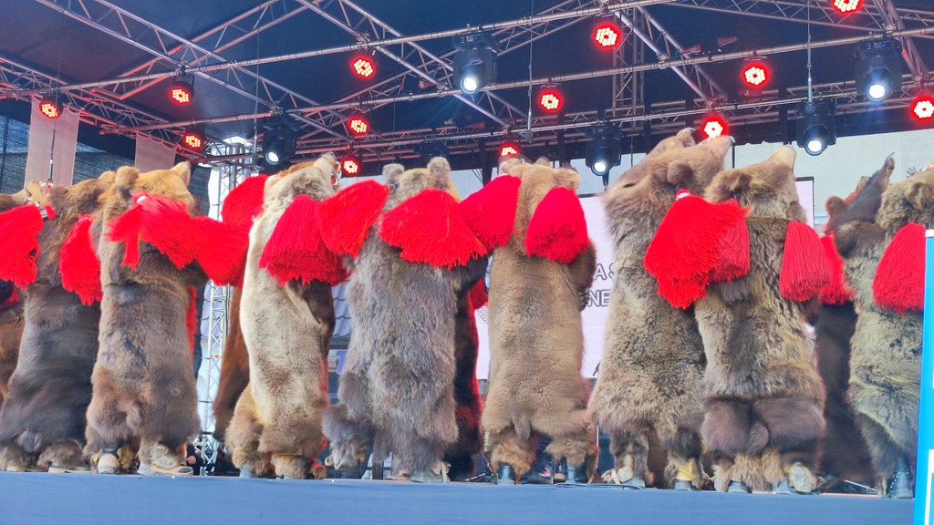 Ediție de succes a Festivalului Obiceiurilor și Tradițiilor de Anul Nou – fotografia 23