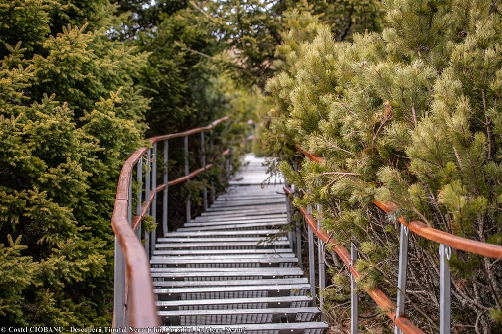 “Stairs to Toaca” National Competition – photo 14