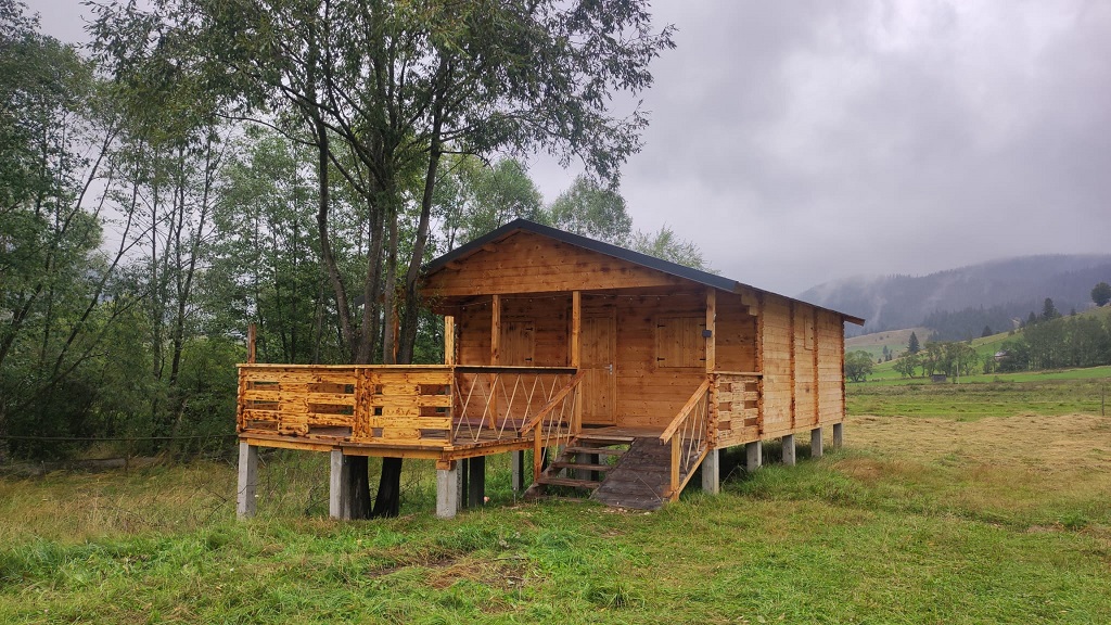Discover the wonderful landscapes of Dămuc Commune! – photo 6
