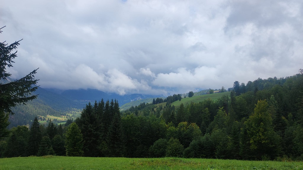 Discover the wonderful landscapes of Dămuc Commune! – photo 7
