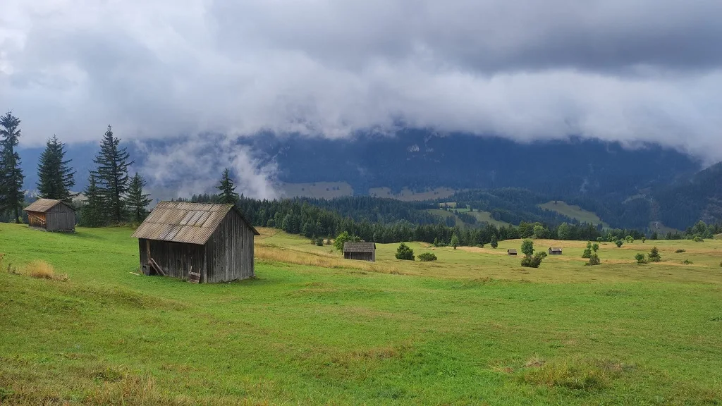Discover the wonderful landscapes of Dămuc Commune! – photo 11