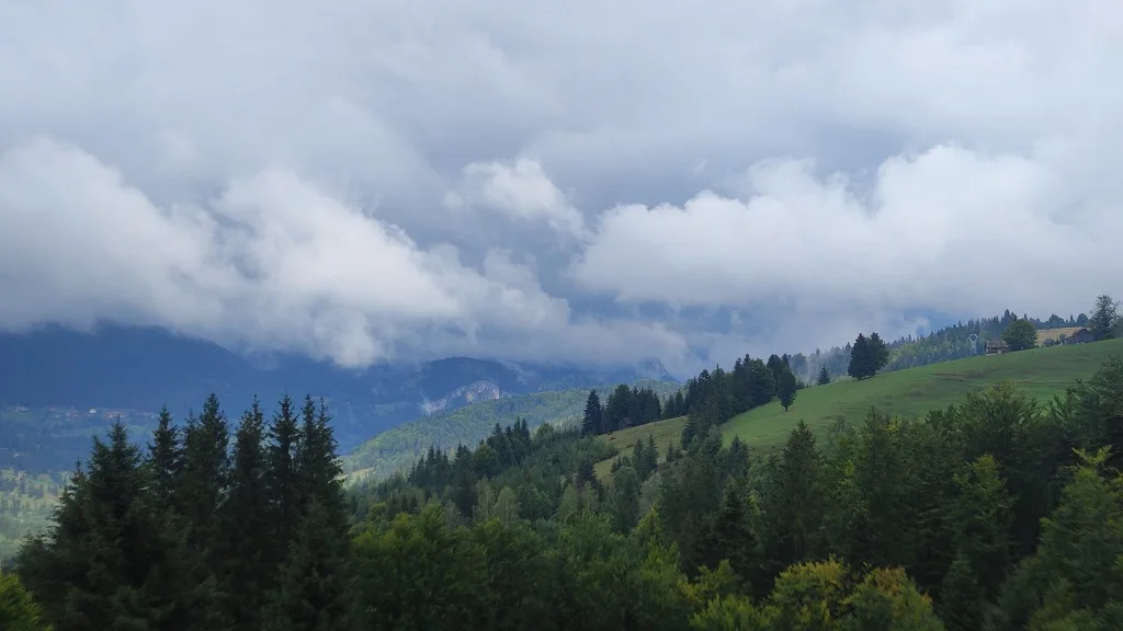 Discover the wonderful landscapes of Dămuc Commune! – photo 12