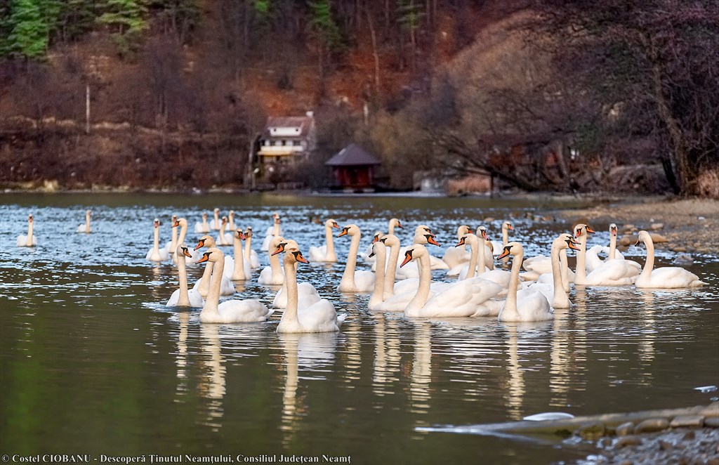 Neamțul, traversat de rute turistice, leagă între ele frumuseți și obiective – fotografia 34