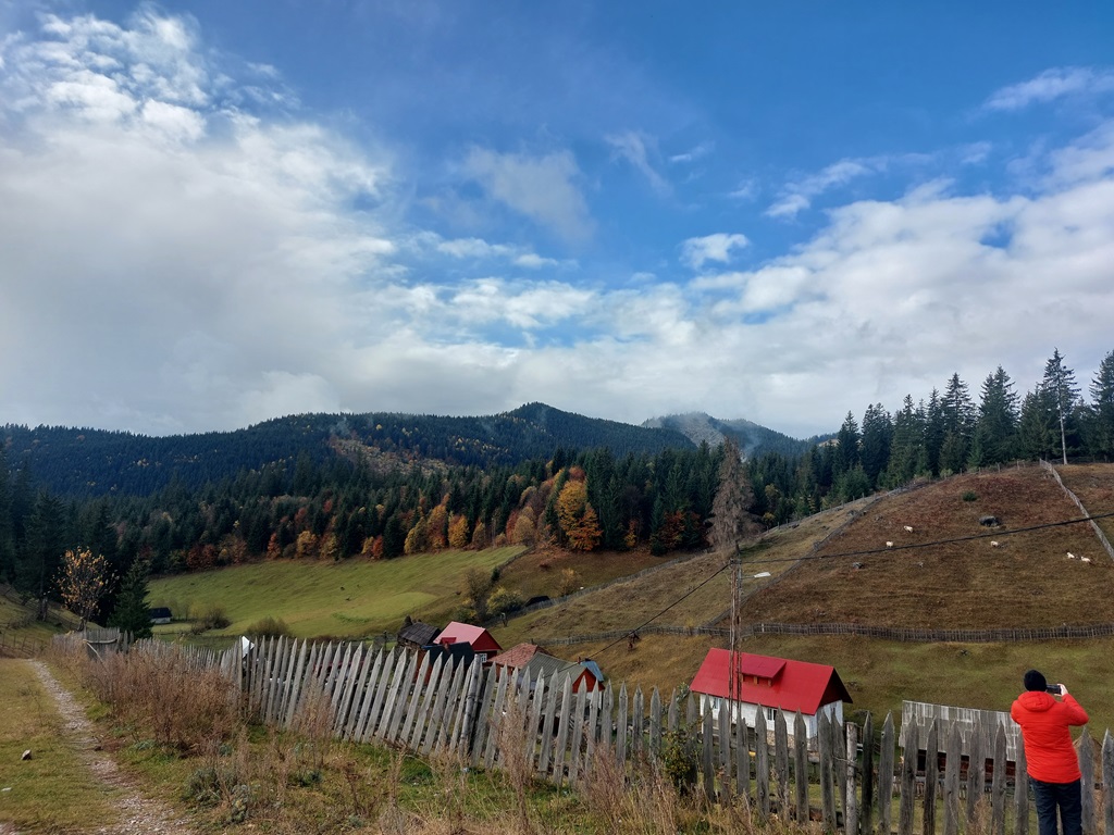Zone pitorești din Neamț și Harghita într-un program de ecologizare – fotografia 3