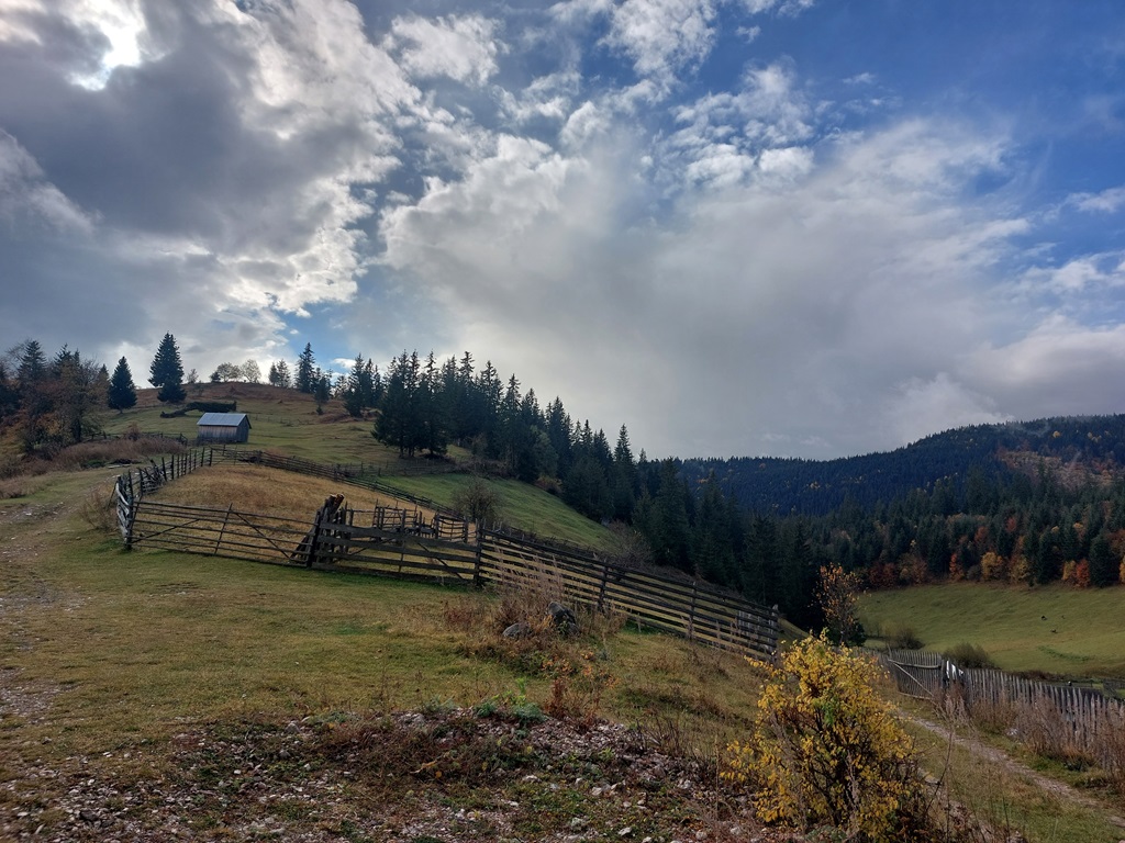 Zone pitorești din Neamț și Harghita într-un program de ecologizare – fotografia 4