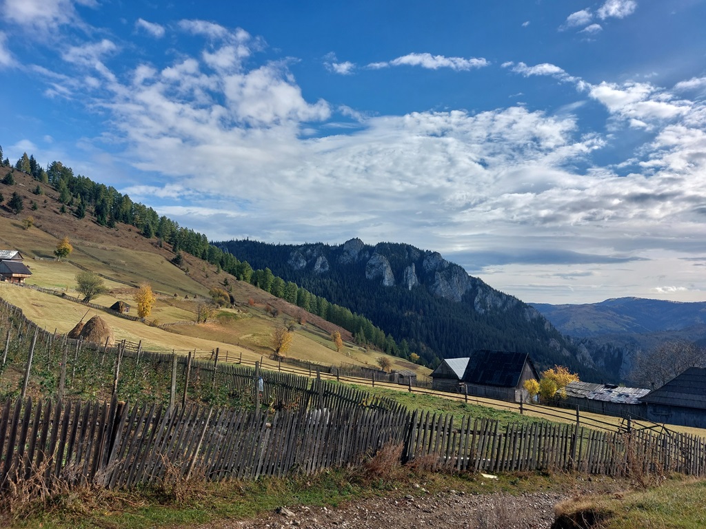 Zone pitorești din Neamț și Harghita într-un program de ecologizare – fotografia 7