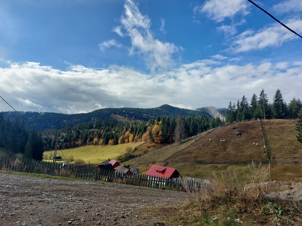 Zone pitorești din Neamț și Harghita într-un program de ecologizare – fotografia 11