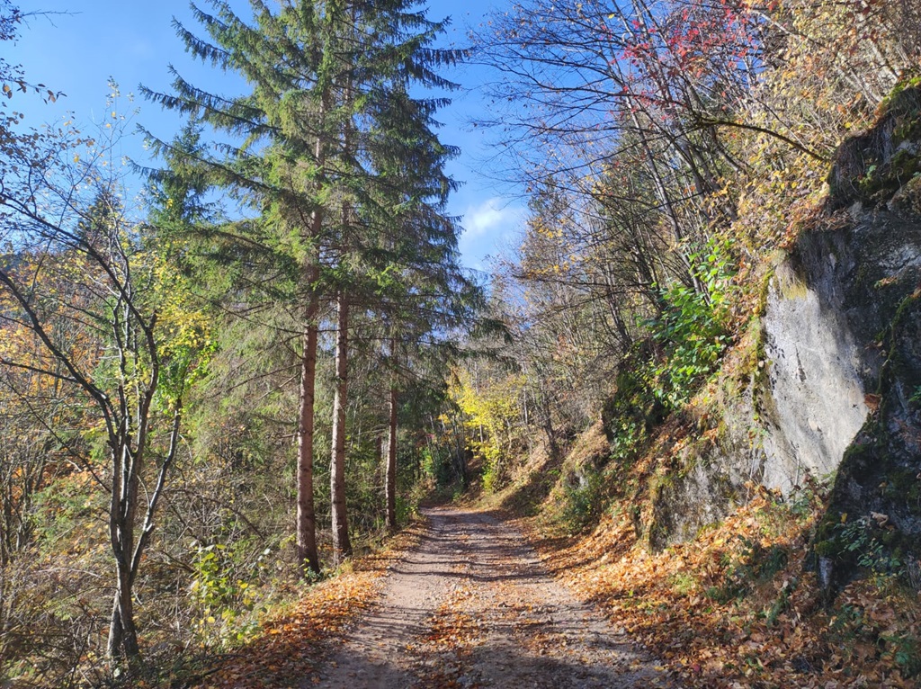 Zone pitorești din Neamț și Harghita într-un program de ecologizare – fotografia 16