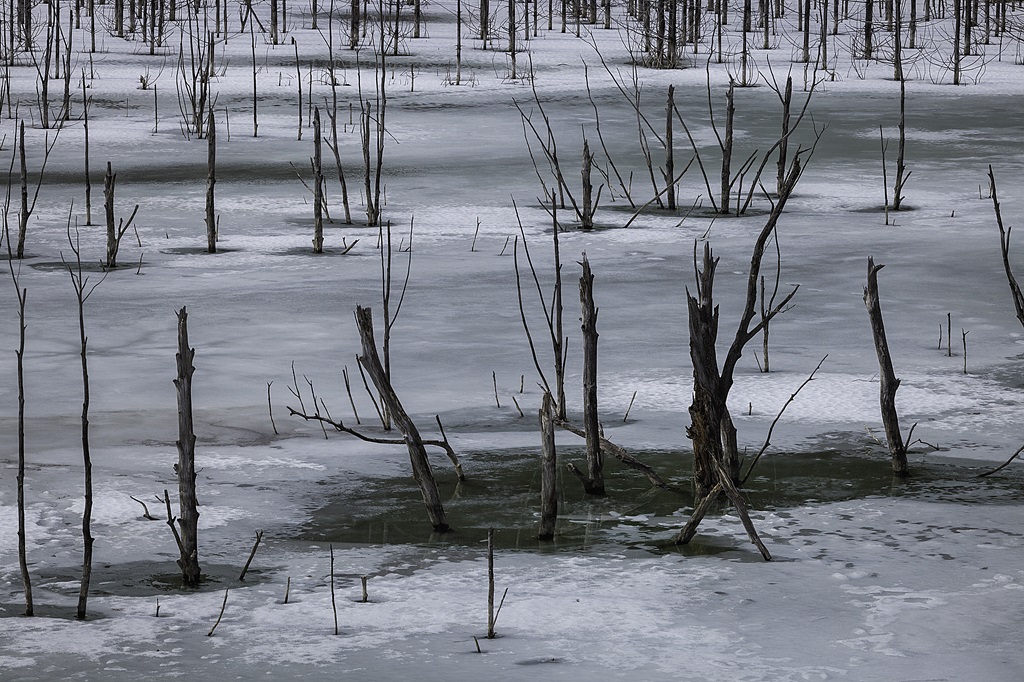 Lacul Cuejdel