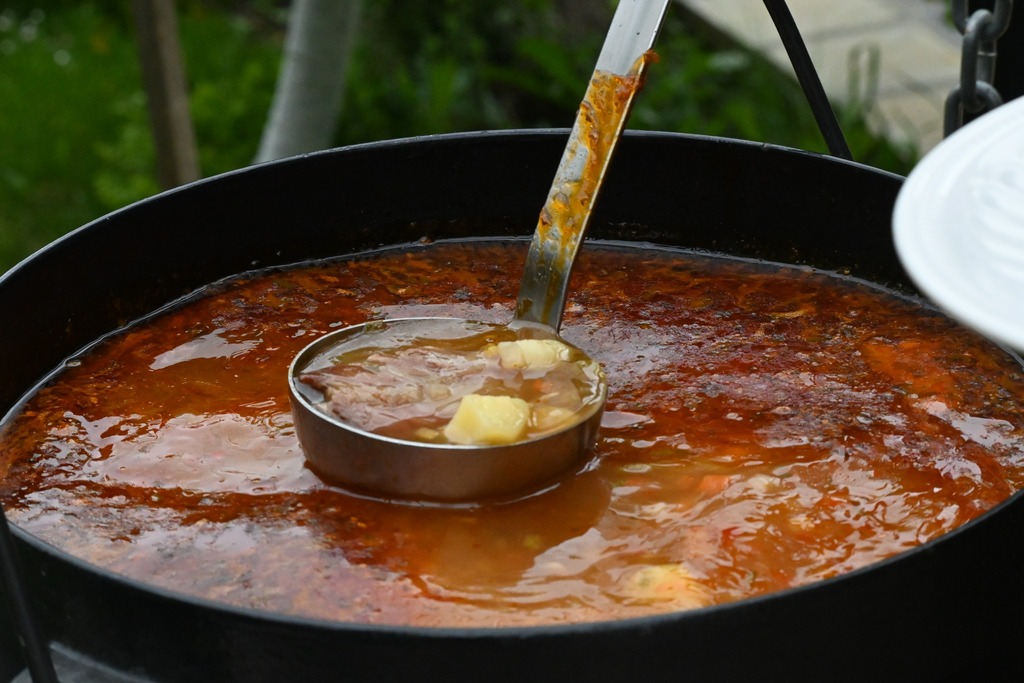 Inițiative îndrăznețe în Neamț pentru dezvoltarea turismului circular – fotografia 15
