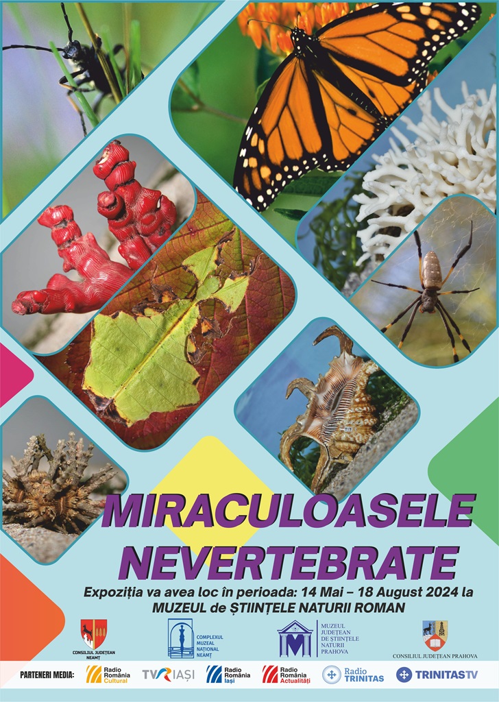 Expoziția “Miraculoasele Nevertebrate” la Muzeul de Științele Naturii Roman 14 mai – 18 august 2024 – fotografia 1