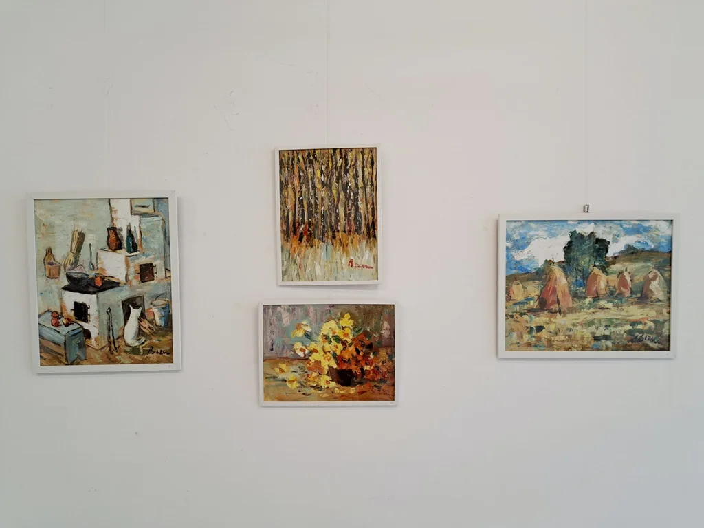 Expoziție dumitru bezem – fotografia 13