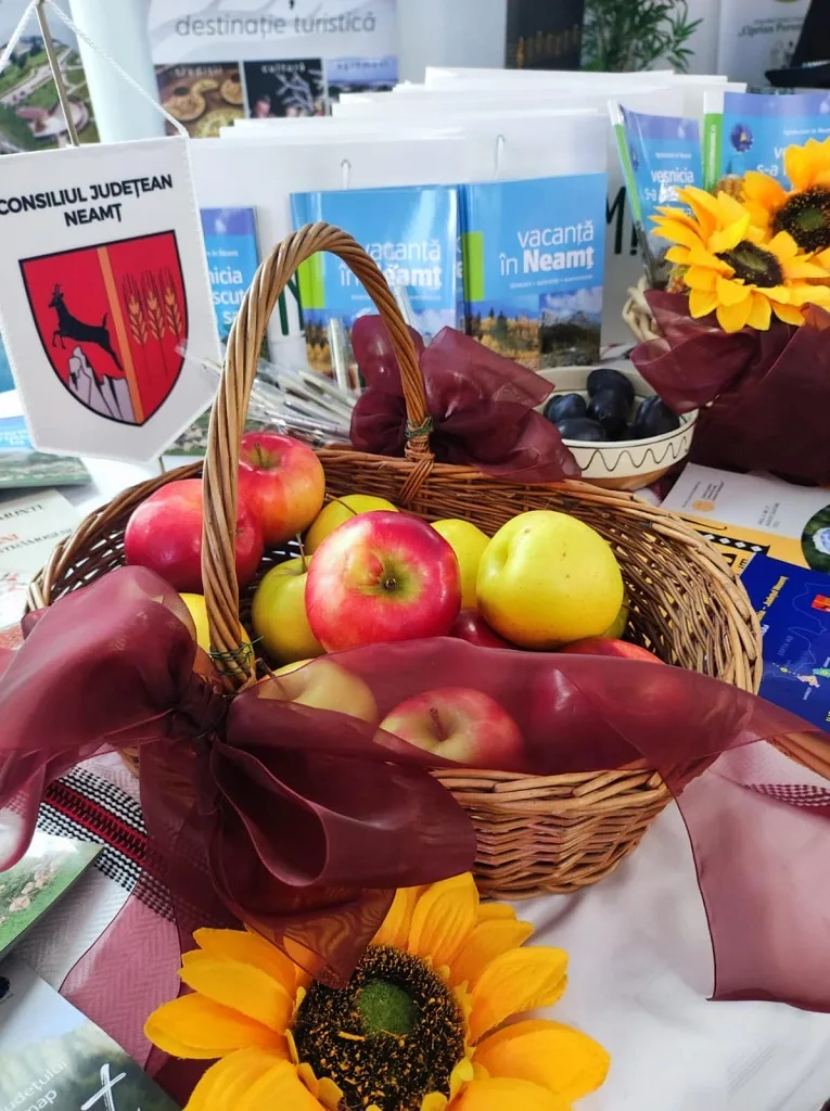 Excellence in Developing Tourism in Neamț at the 9th Edition – photo 13
