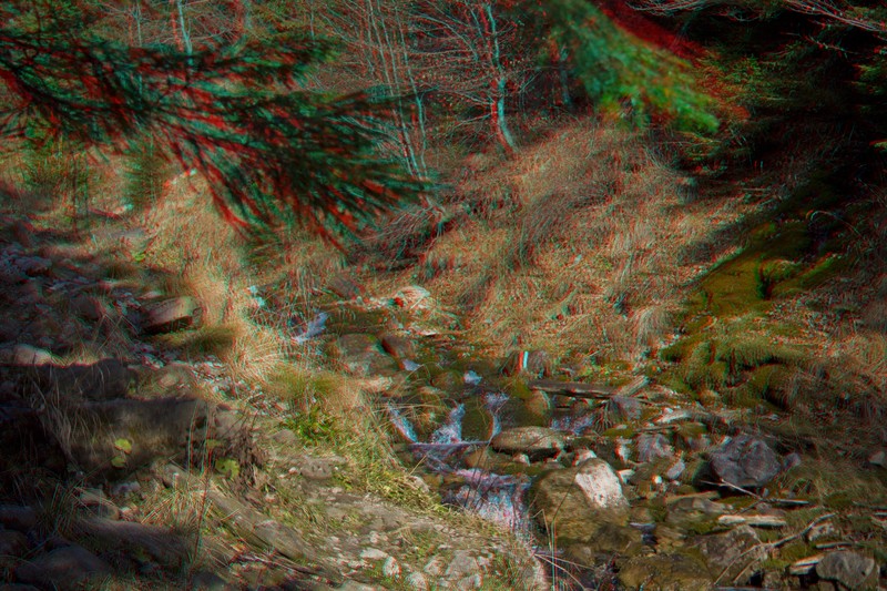 Imagini 3D Ceahlau