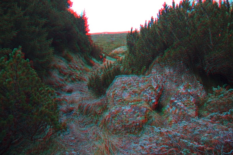 Imagini 3D Ceahlau