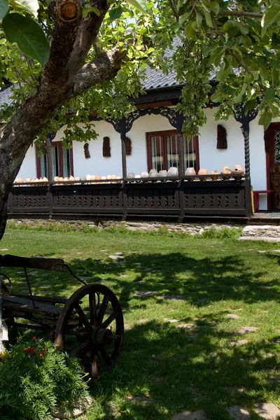Neculai Popa Museum