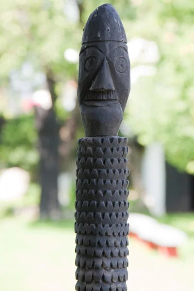 Neculai Popa Museum