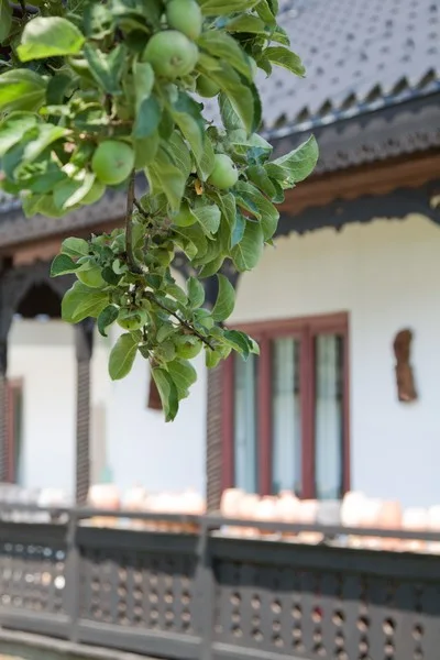 Neculai Popa Museum