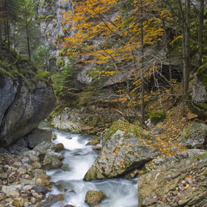 monumente-ale-naturii-neamt