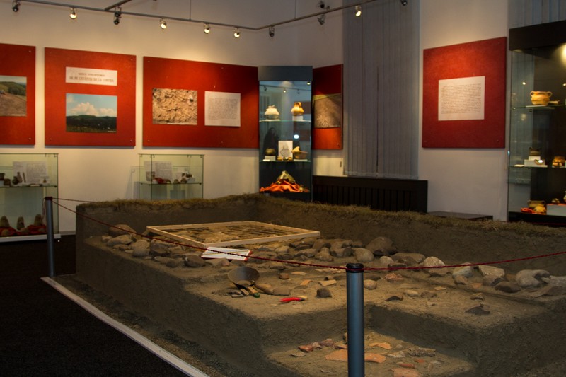 Expozitia Costisa 2011