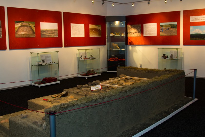 Expozitia Costisa 2011