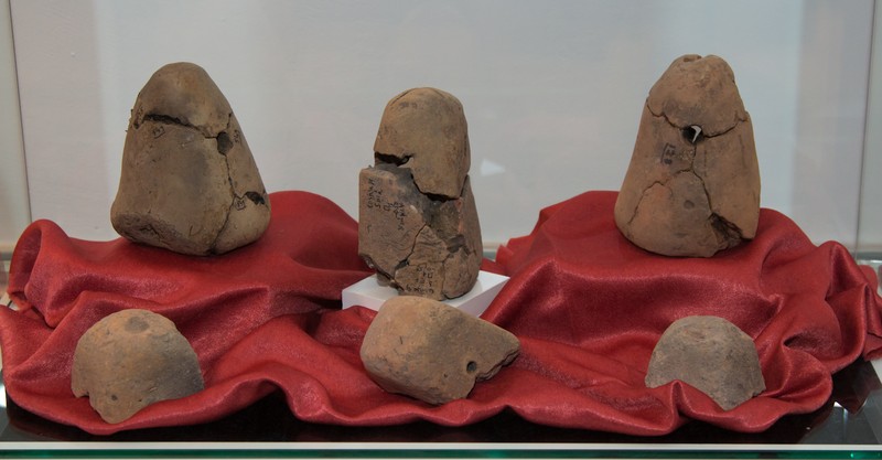 Expozitia Costisa 2011