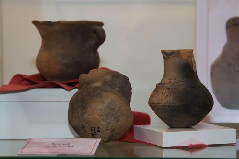 Expozitia Costisa 2011