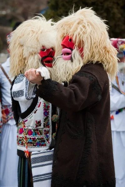 Steaua sus rasare Festival 2011