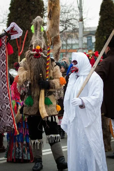 Steaua sus rasare Festival 2011